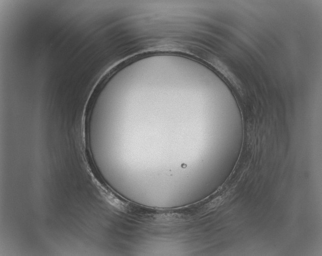 X0000073950988200609051748