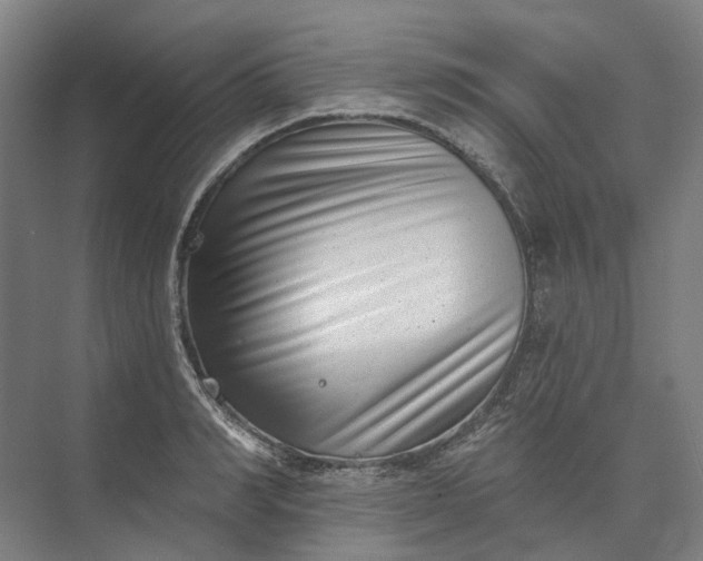 X0000073950990200609051748