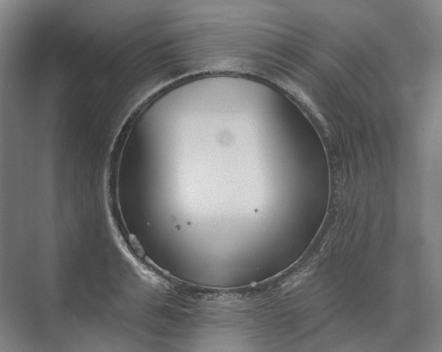 X0000073950991200609051748