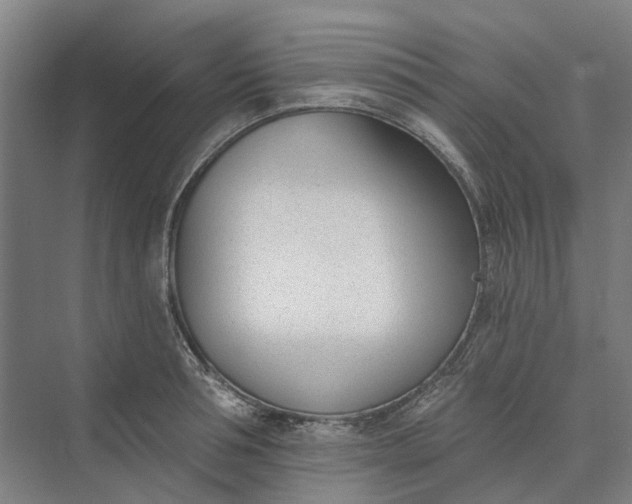 X0000073950994200609051748