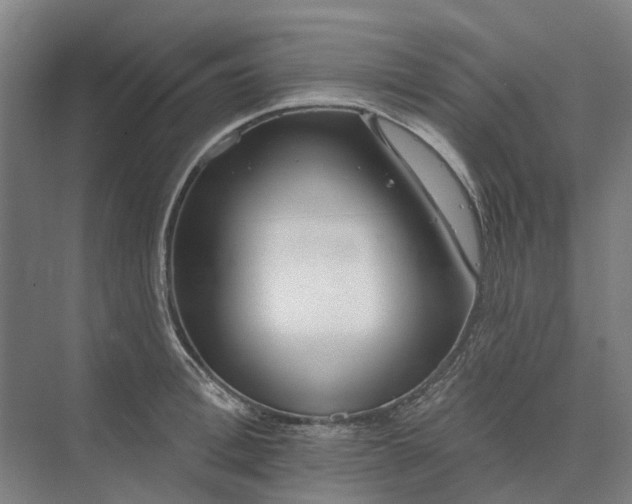 X0000073950996200609051748