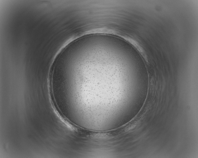 X0000073950998200609051748