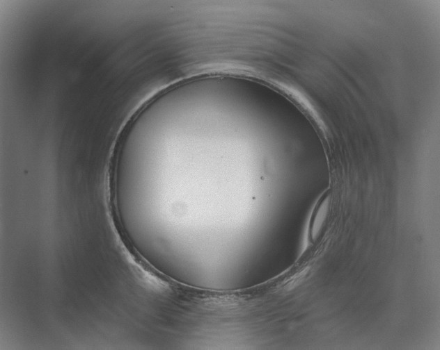 X0000073950999200609051748