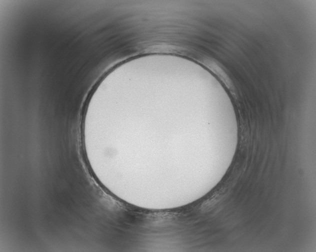 X0000073951000200609051748