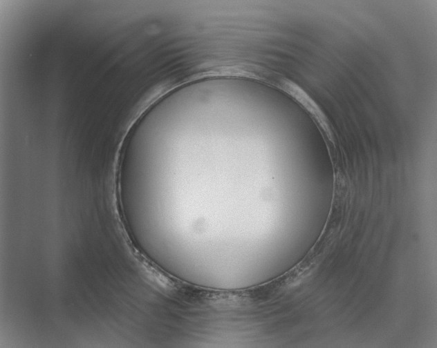 X0000073951002200609051748