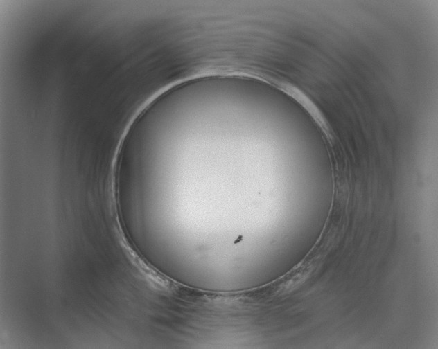 X0000073951004200609051748