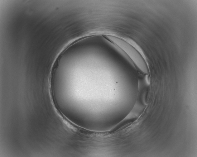 X0000073951005200609051748