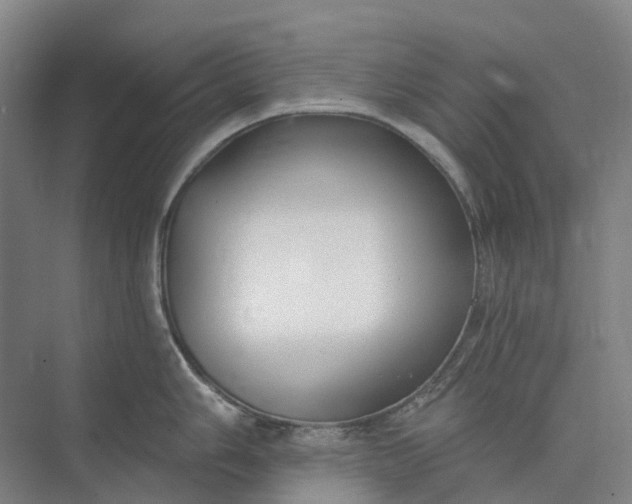 X0000073951006200609051748