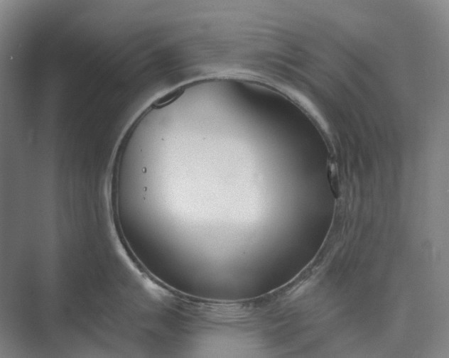 X0000073951007200609051748