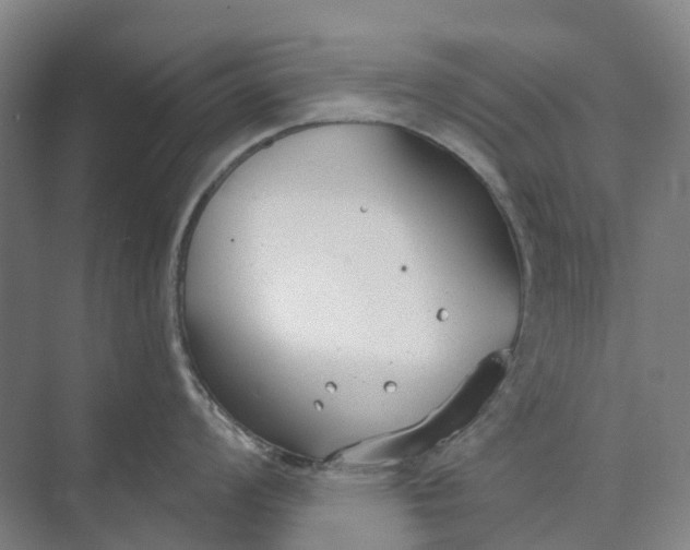 X0000073951008200609051748