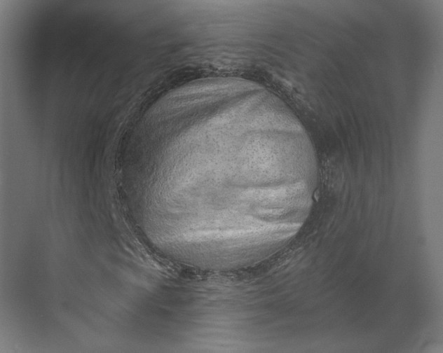 X0000073951009200609051747