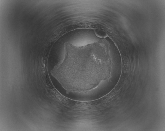 X0000073951013200609051747