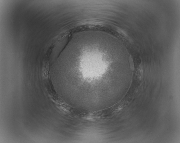 X0000073951014200609051747