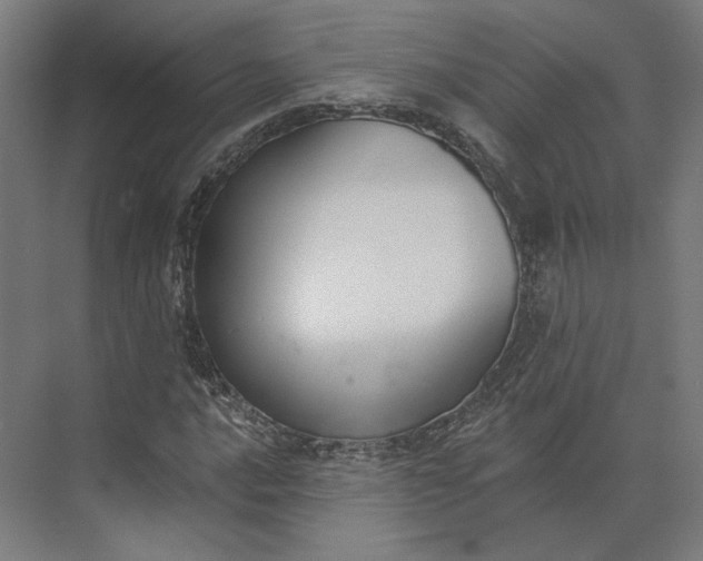 X0000073951016200609051747