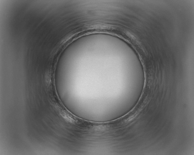 X0000073951017200609051747