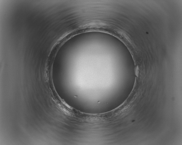 X0000073951018200609051747