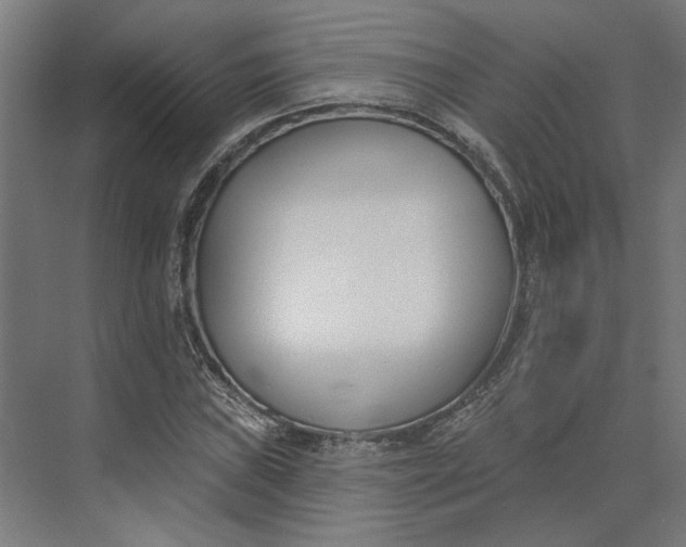 X0000073951019200609051747