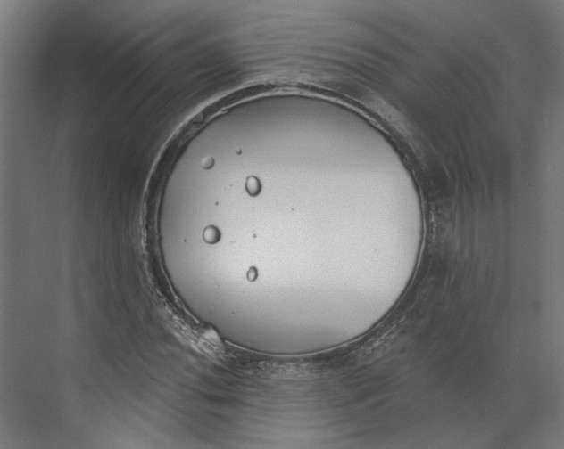 X0000073951020200609051747