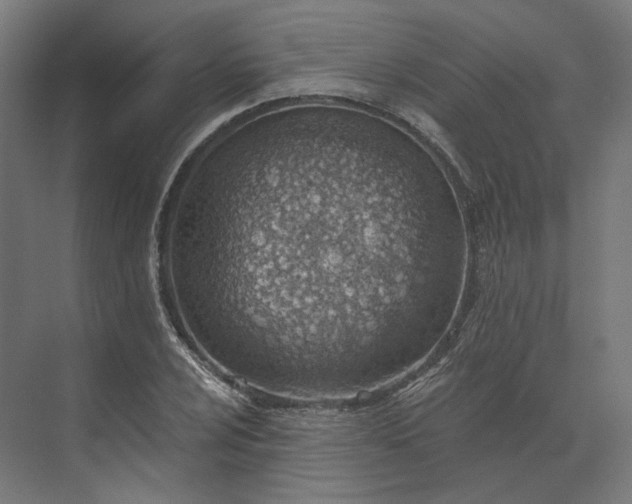 X0000073951024200609051747