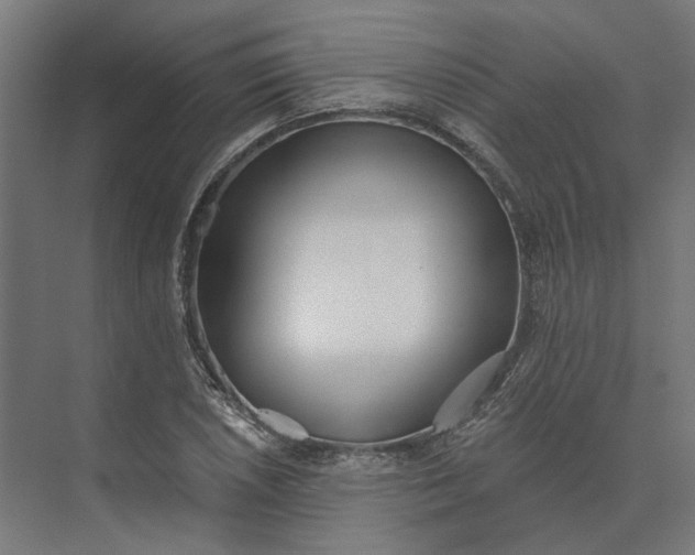 X0000073951026200609051747