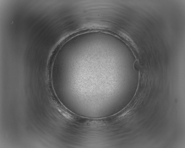 X0000073951027200609051747