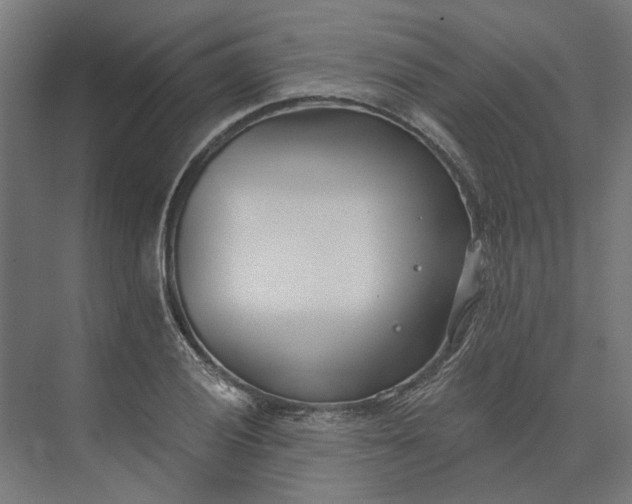 X0000073951028200609051747