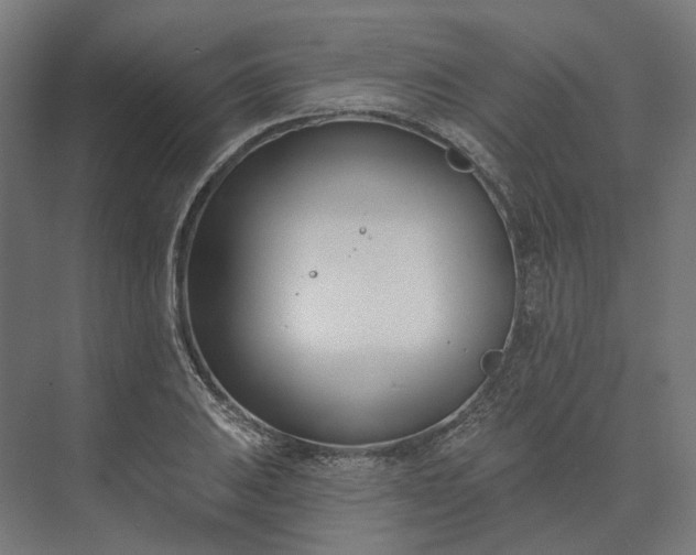 X0000073951031200609051747