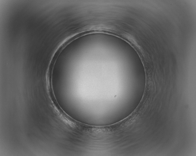 X0000073951032200609051747