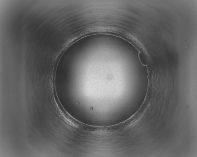 X0000073951033200609051747