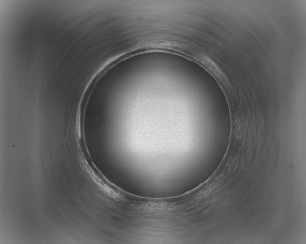 X0000073951036200609051747