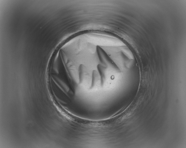 X0000073951037200609051747