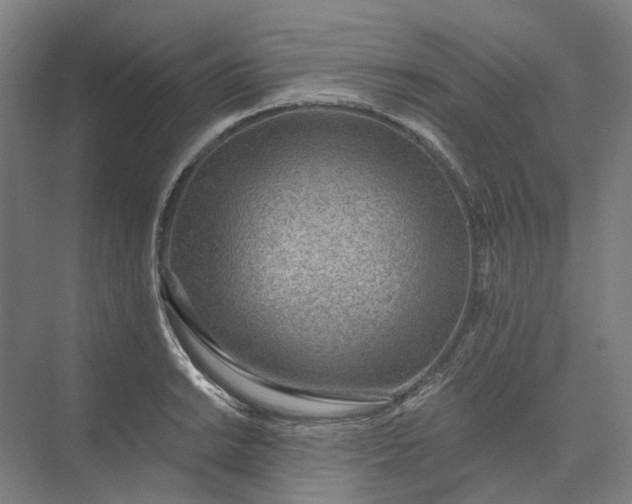 X0000073951038200609051747