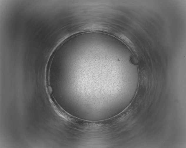 X0000073951039200609051747