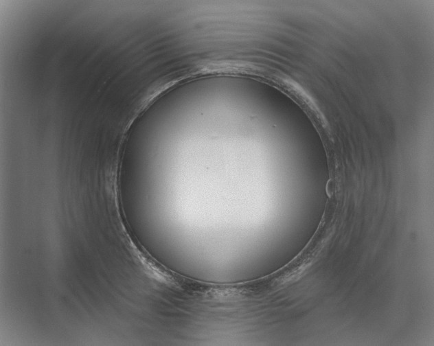 X0000073951041200609051747