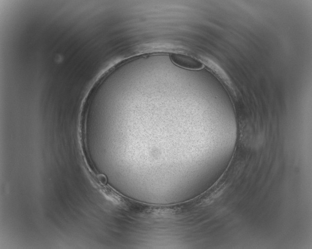 X0000073951043200609051747