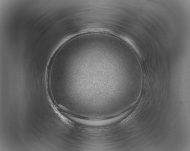 X0000073951046200609051748