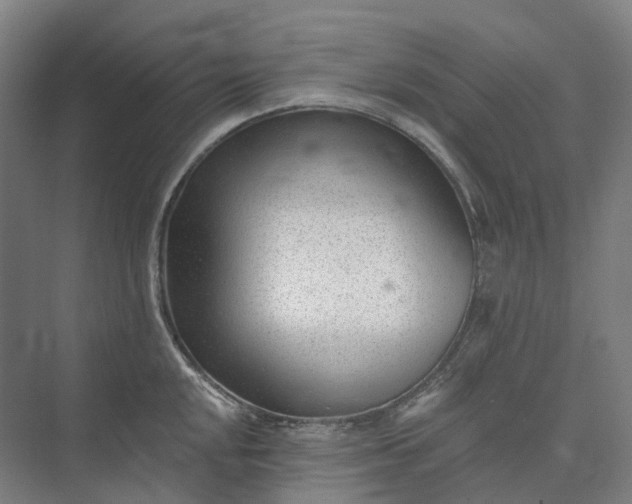 X0000073951048200609051748