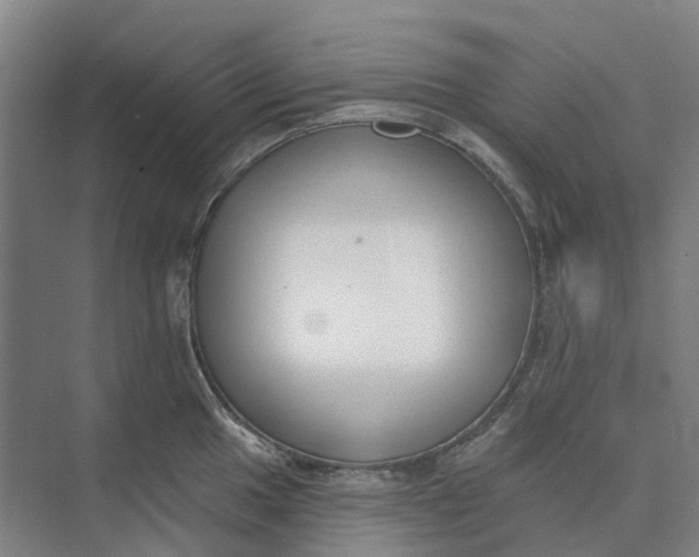 X0000073951049200609051748