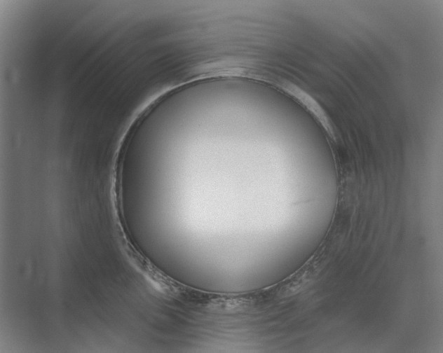 X0000073951051200609051748