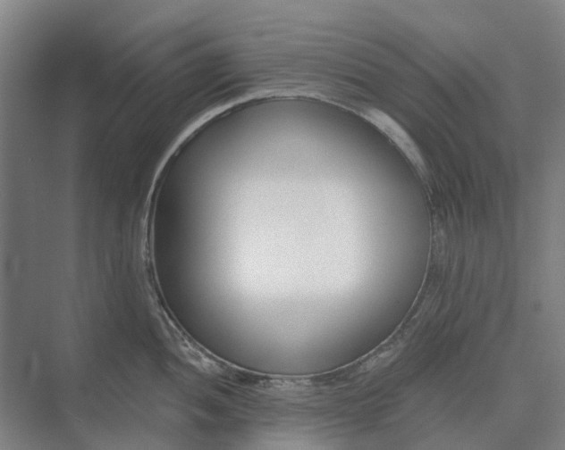 X0000073951052200609051748