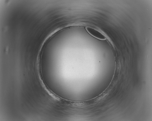 X0000073951053200609051748