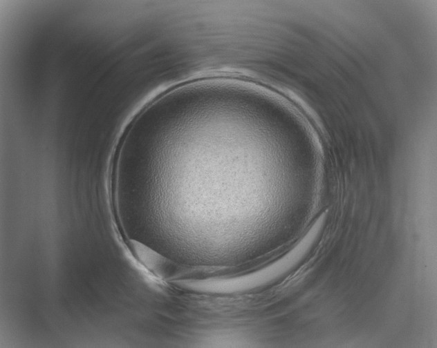 X0000073951054200609051748