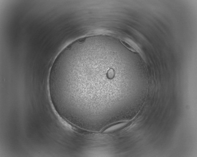 X0000073951055200609051748