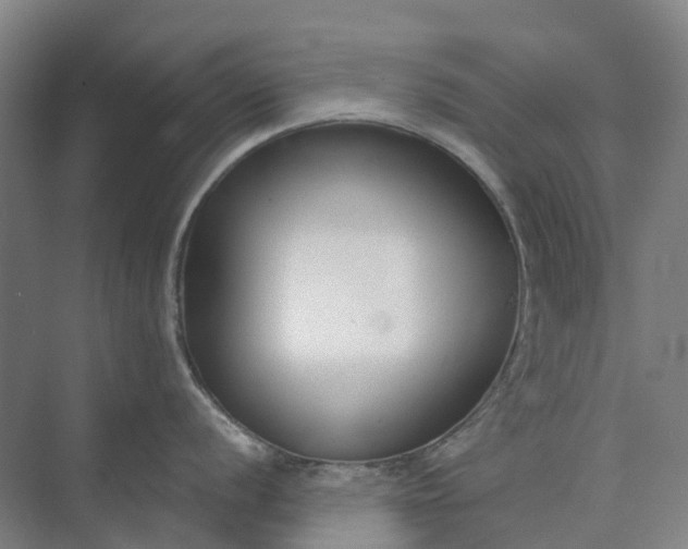 X0000073951056200609051748