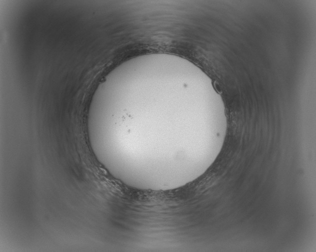 X0000073951057200609051747