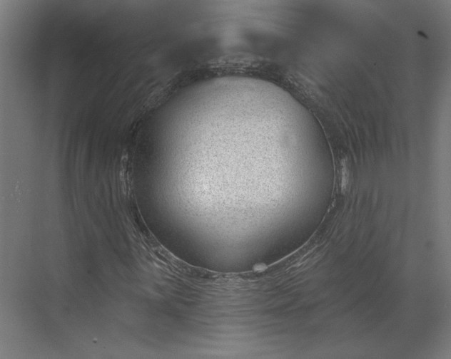 X0000073951059200609051747