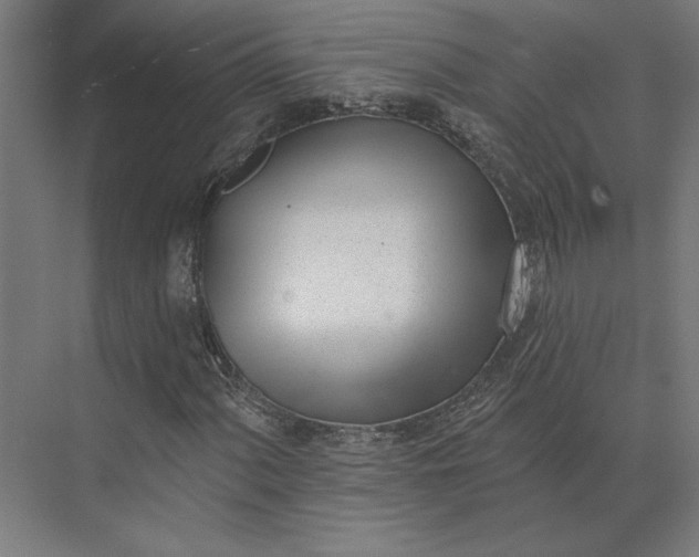 X0000073951060200609051747