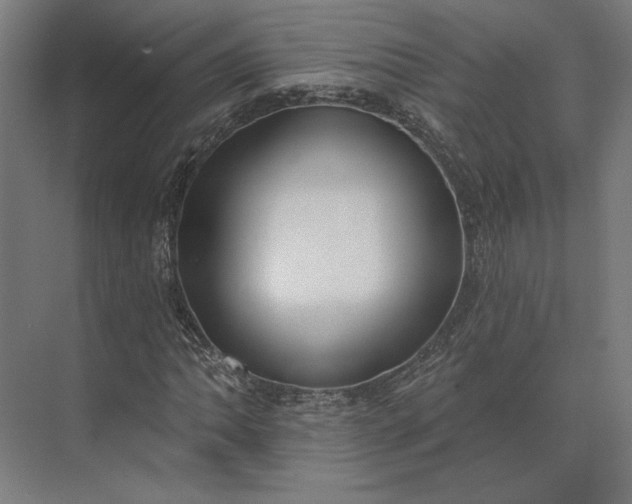 X0000073951062200609051747