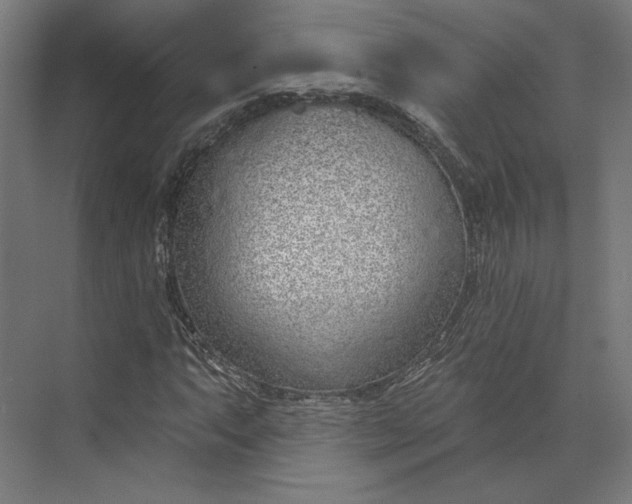 X0000073951063200609051747