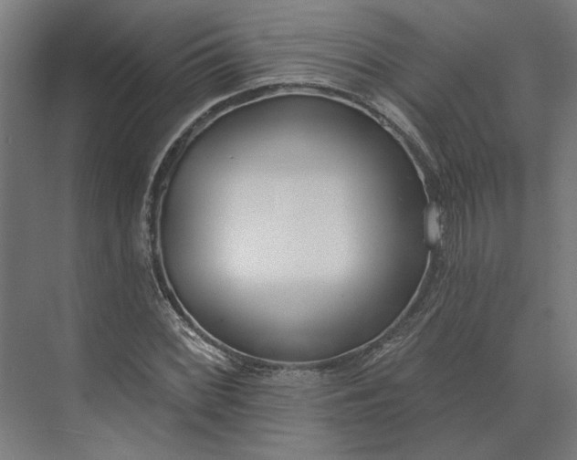 X0000073951068200609051747